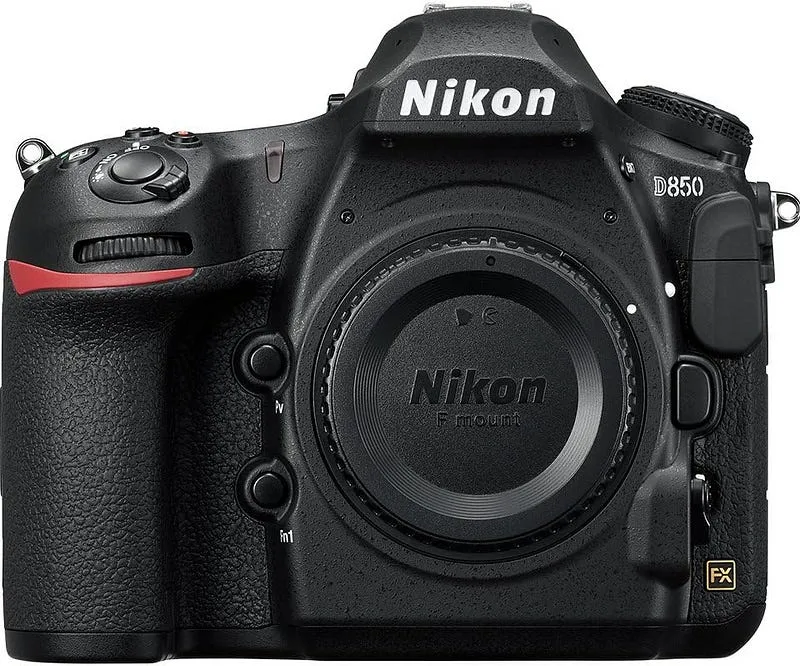 6 Best starter camera for wildlife photography: (2024 Guide & Reviews)