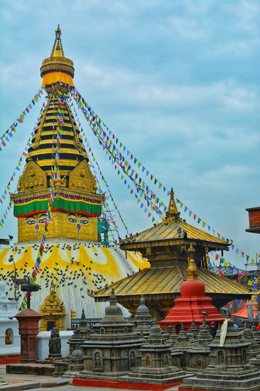 Best Affordable Mirrorless Camera for Travel