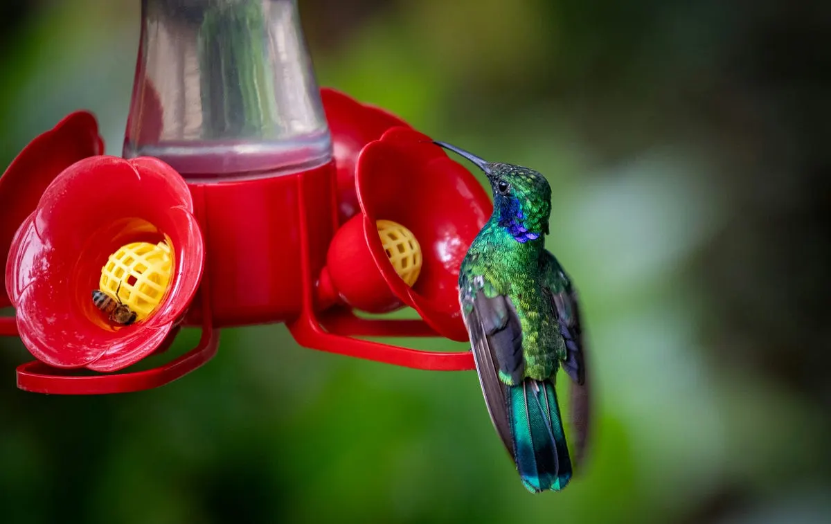 Best Camera for Filming Garden Wildlife