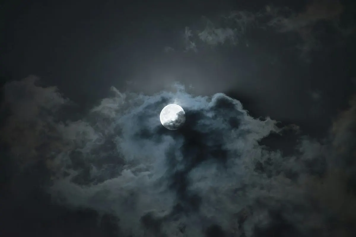Best Camera for Night Sky Photography