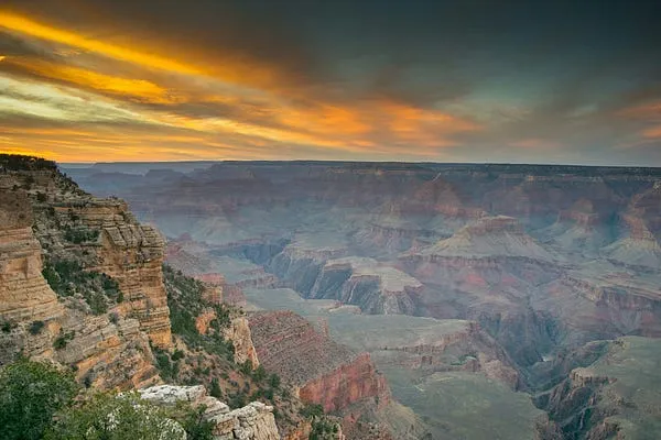 Best Cameras for Nature Photography in 2026