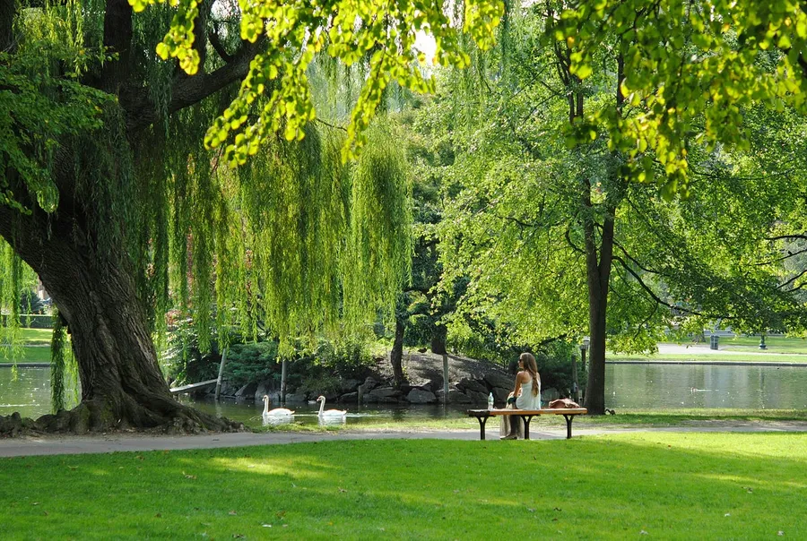 local park during golden hour