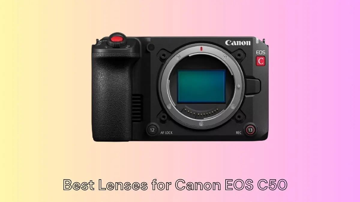 Best Lenses for Canon EOS C50