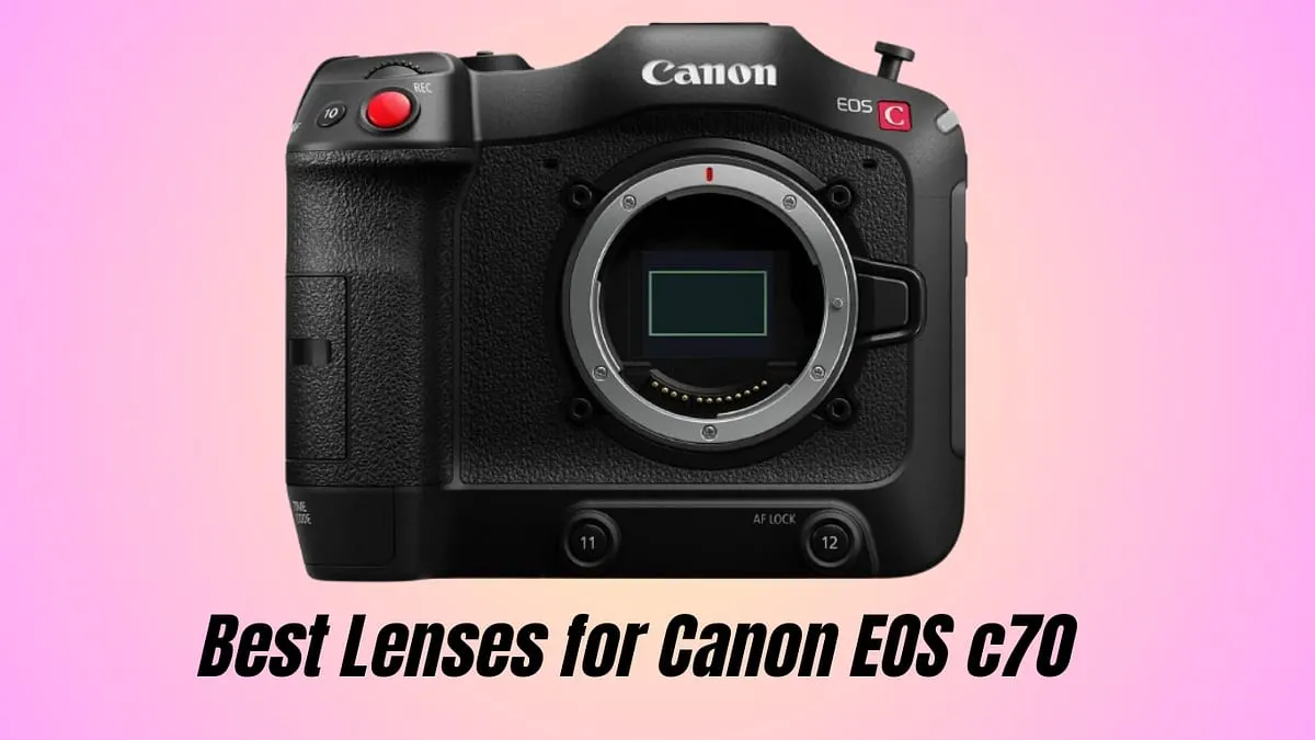 Best Lenses for Canon EOS c70
