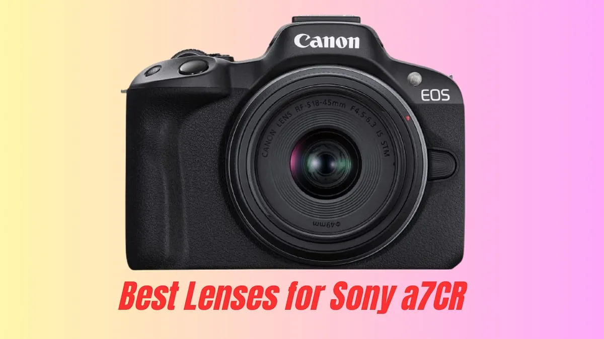 Best Lenses for Canon EOS R50