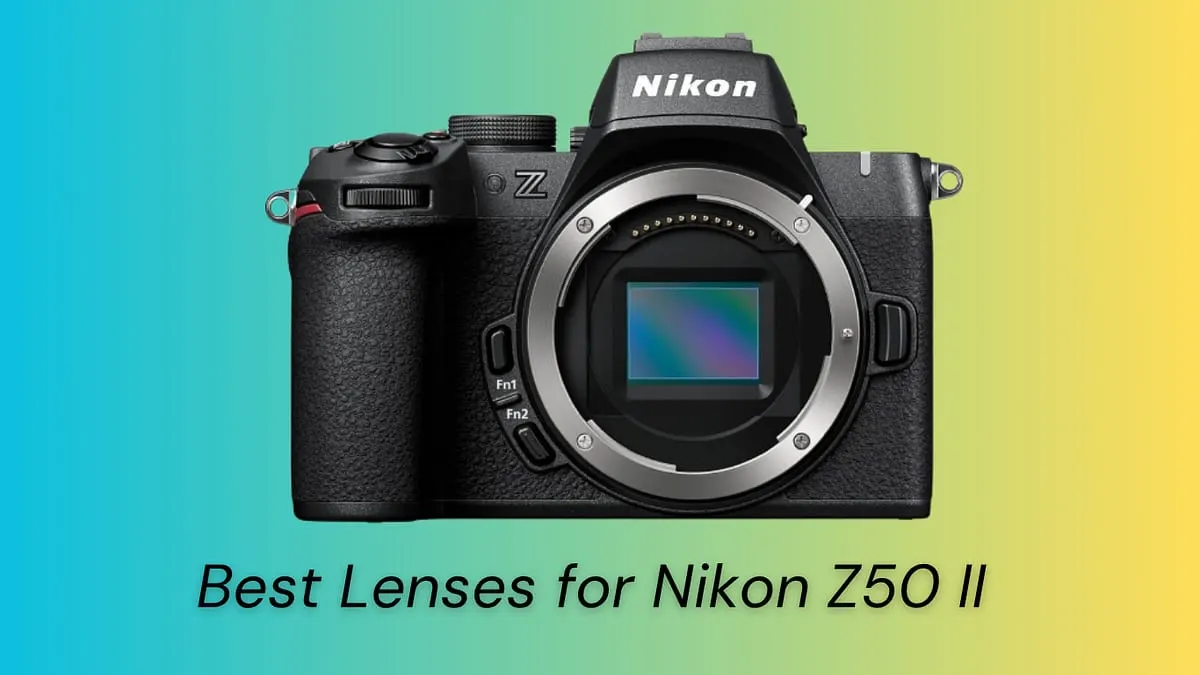 Best Lenses for Nikon Z50 II