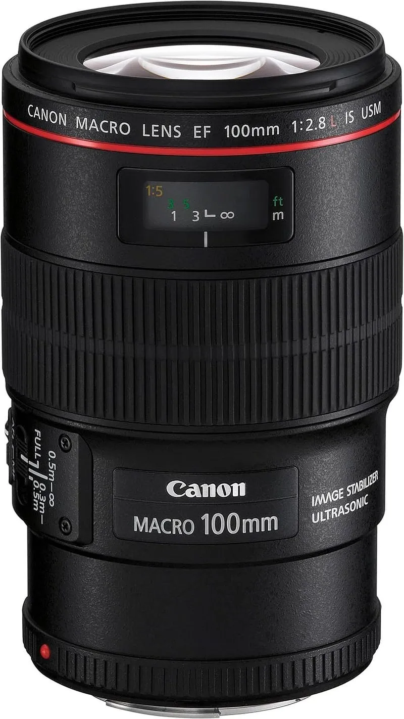 Best Macro Lenses for Canon