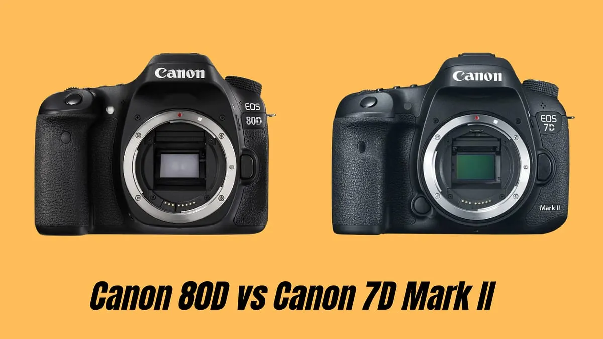 Canon 80D vs Canon 7D Mark II