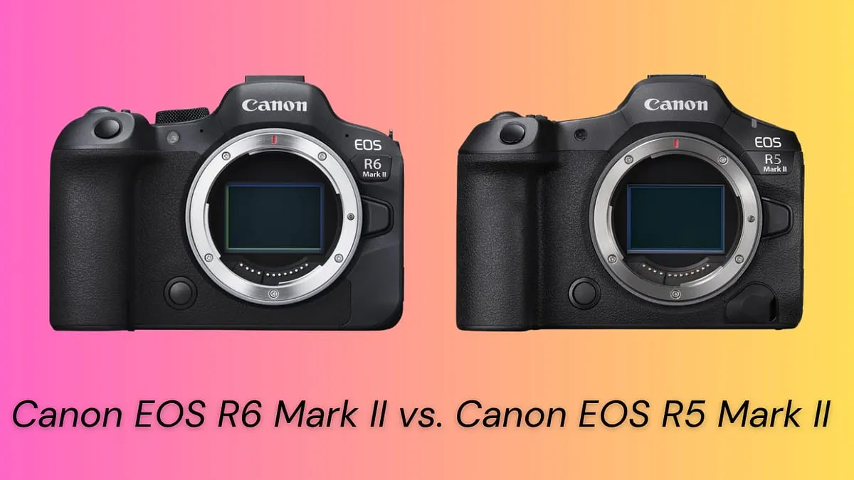 Canon EOS R6 Mark II vs. Canon EOS R5 Mark II