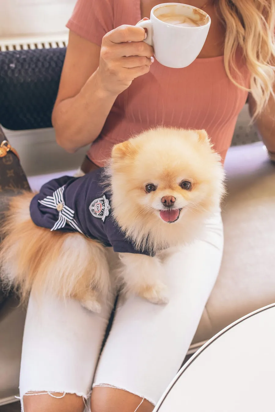 pet photography