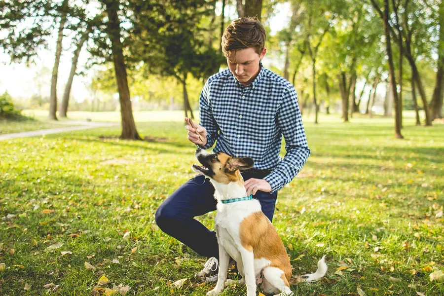 dog photography