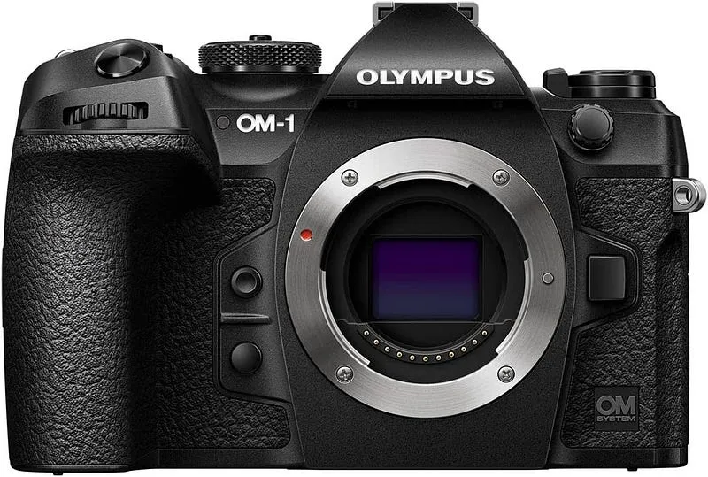 birds photography camera for Professionals