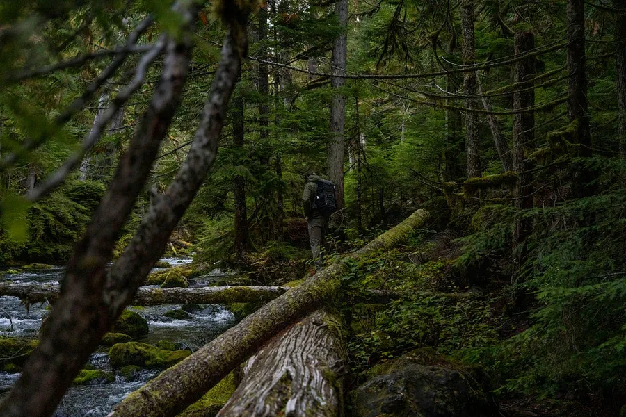 adventures