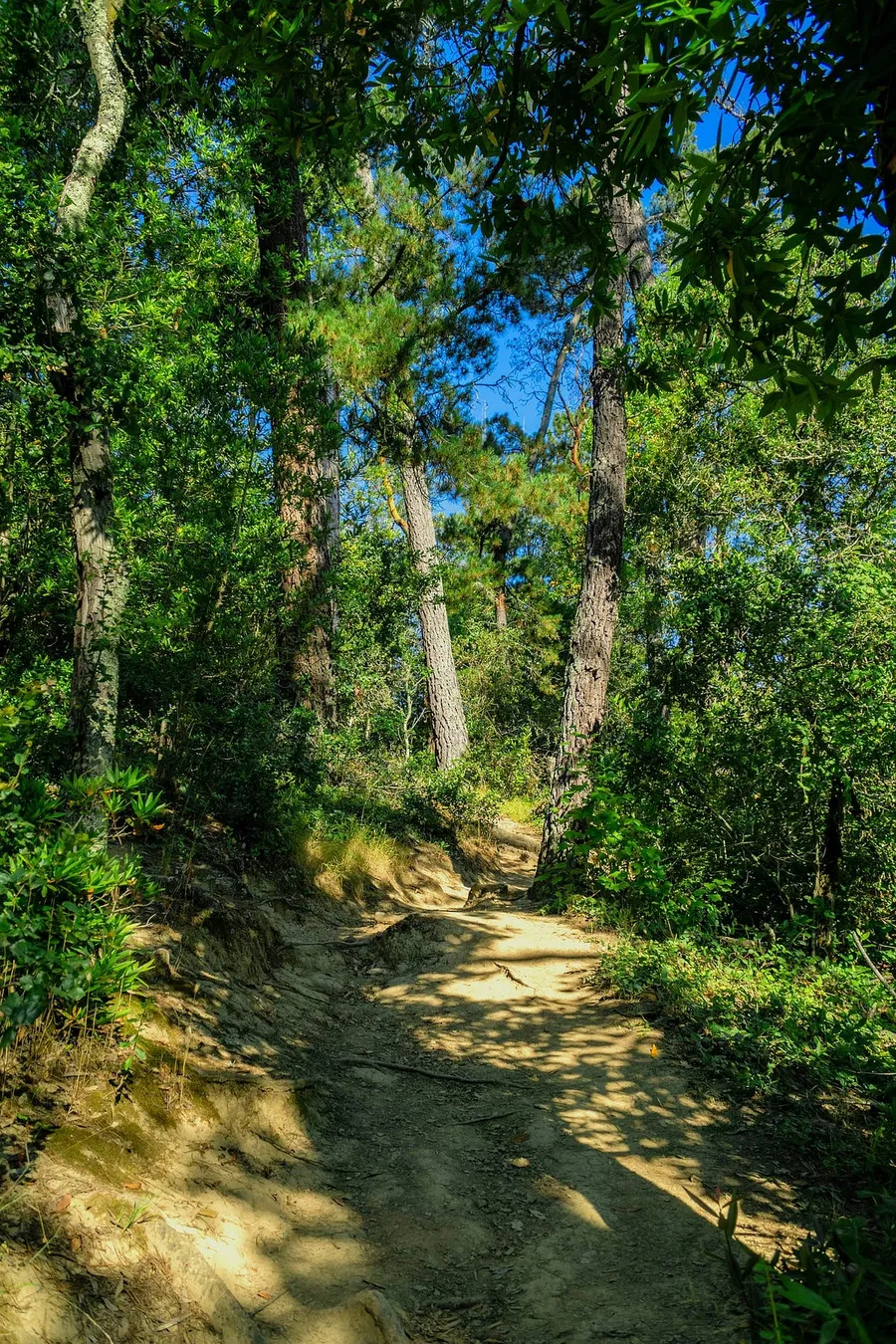 Sony 70–350 on Full-Frame Adventure